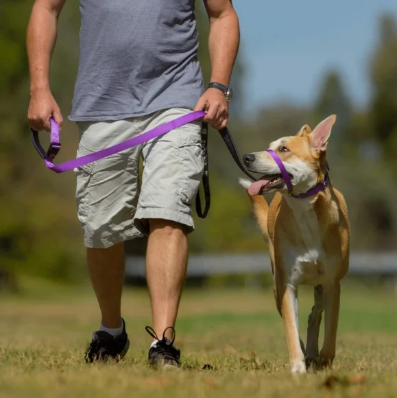 Canny Collar SZ 4 No Pull Dog Collar - Picture 3 of 16